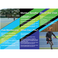 Club Tri Fold Striped Brochure 